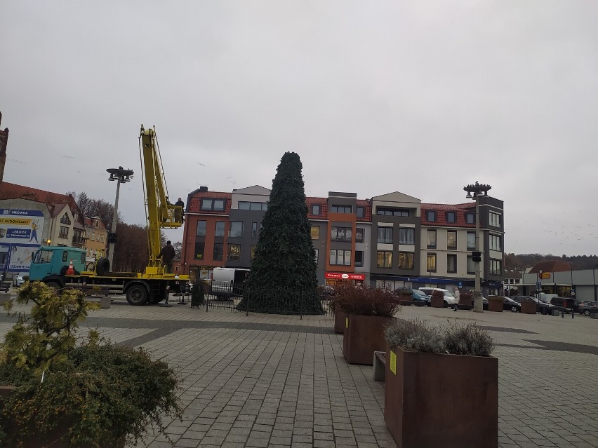 Na Placu Pokoju w Lęborku stanęła świąteczna choinka