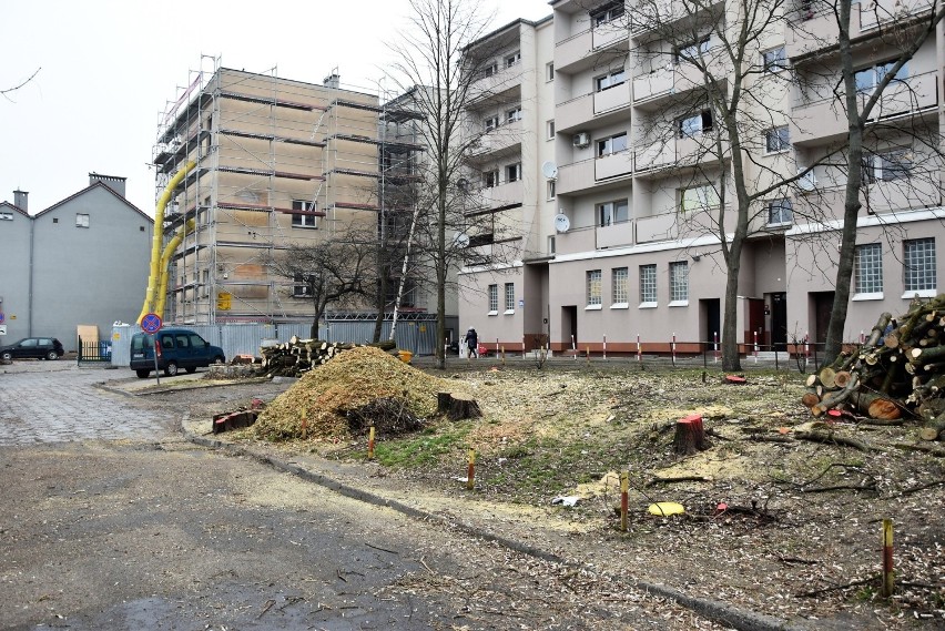 Drzewa w podwórzu ul. Krakowskiej w Opolu wycięte. Trwa rewitalizacja [ZDJĘCIA]