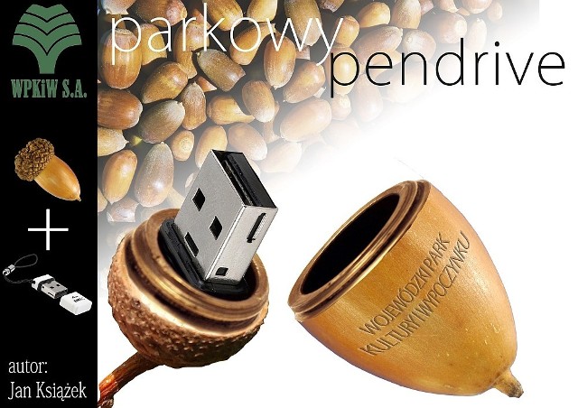 Gadżet nr 1: Pendrive w żołędziu