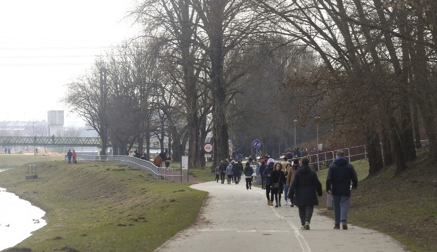 Bulwary w Rzeszowie to największe tereny zielone w mieście