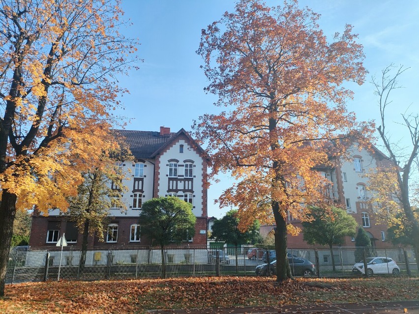 Do dziś podziwiać możemy w tym miejscu pięć różnych...