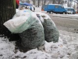 Zapomniana i zaniedbana droga dojazdowa w centrum miasta