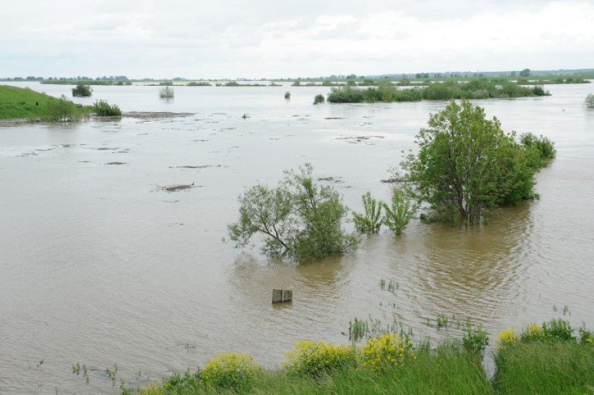 Sztum. Tak było z Wielką Wodą w 2010 roku