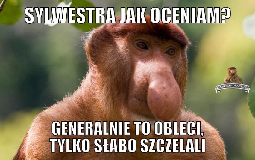 Sylwestrowe memy rozbawią cię do łez! W końcu sylwester z...