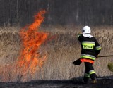 Powiat chrzanowski. Trawy płoną, choć jeszcze zima. Co będzie wiosną?!