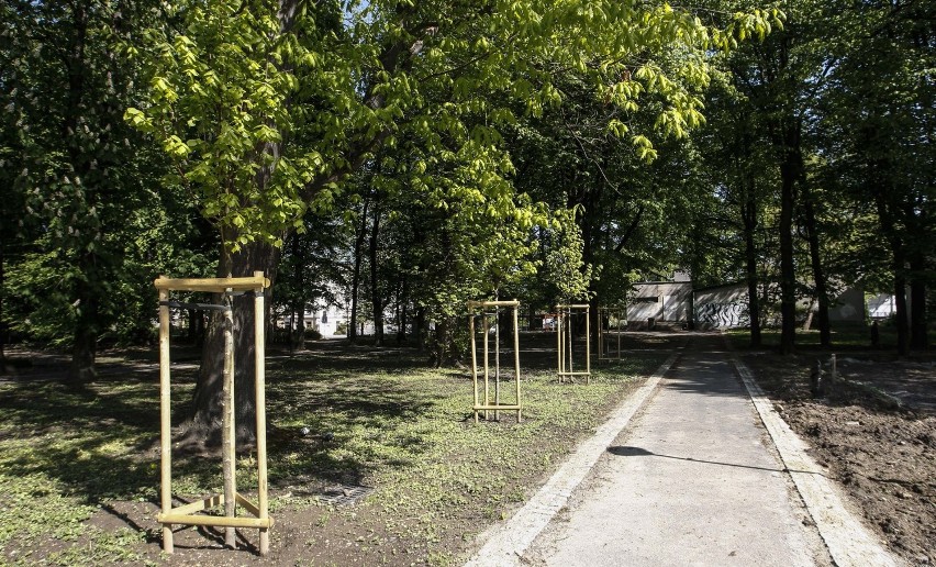 Rzeszów: dlaczego miasto zatrudniło ochroniarzy do parku przy Dąbrowskiego na 47 nocy? Czego będą pilnować?