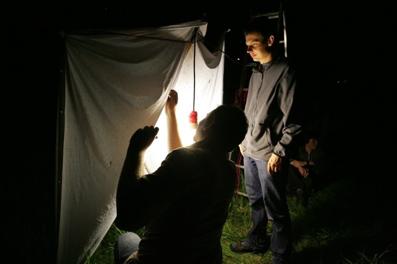 Tuga BioBlitz, czyli Ćmobranie 2011