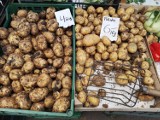 Odmiany ziemniaków. Które uprawiać na polu, aby klient chciał kupować? Ziemniaki na placki, frytki, szare kluski i do sałatki