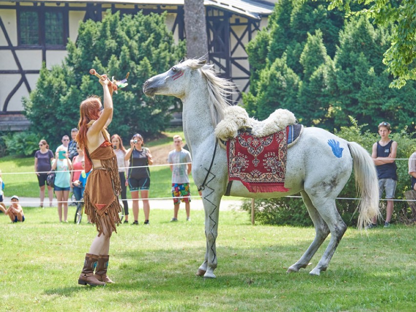 Piknik Country - Powitanie Lata 2019 | 22.06.2019 | Zamek Kliczków