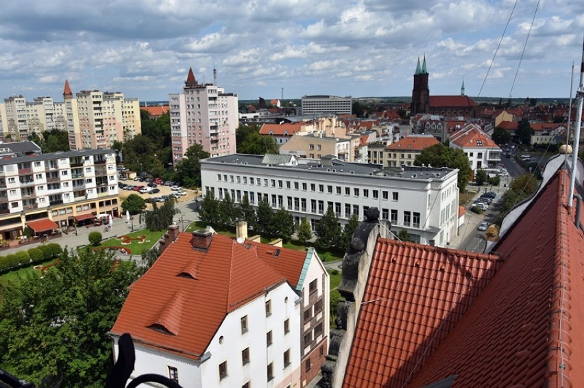 Tak wygląda Legnica widziana z dachu ratusza.