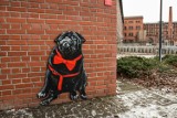 Kultowy mops na bydgoskim muralu - Wyspa Młyńska ma psią atrakcję