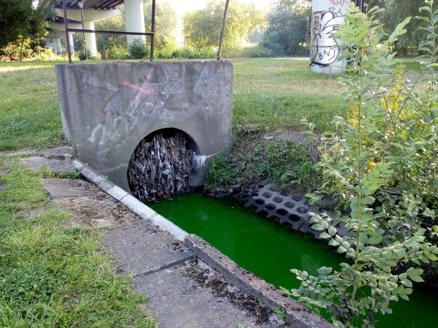 W środę, 20 lipca woda w Bogdance zabarwiła się na zielono.