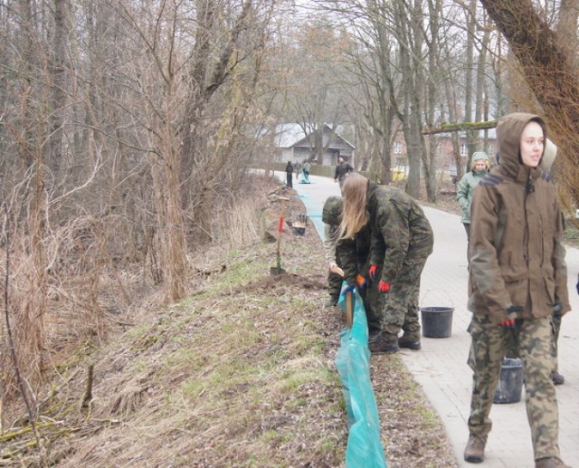 Pracownicy Białowieskiego Parku Narodowego od prawie 30 lat wiosną prowadzą akcję ratowania płazów. Wspierają ich w tym uczniowie Technikum Leśnego w Białowieży
