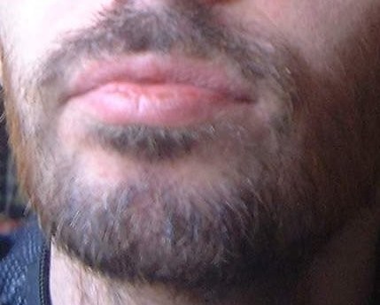 Źródło: http://commons.wikimedia.org/wiki/File:Swedish_beard.jpg