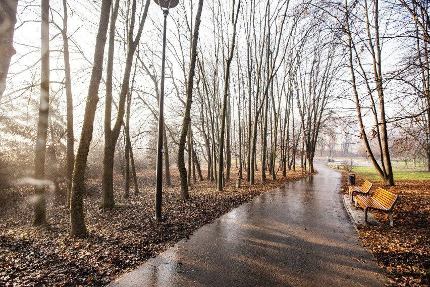 Kraków. Park Tysiąclecia w Mistrzejowicach wypiękniał na zimę [ZDJĘCIA]