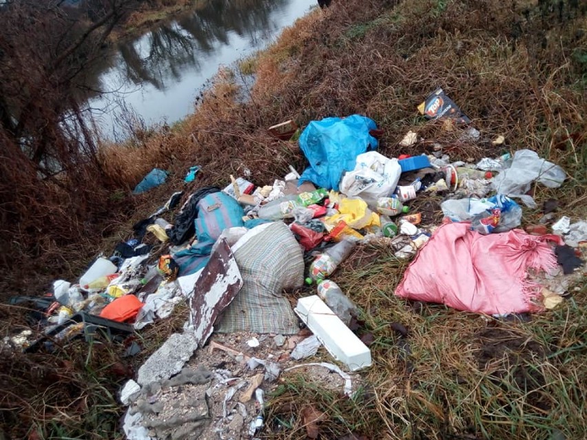 Sterty śmieci nad brzegiem Prosny między Kaliszem a Kościelną Wsią. ZDJĘCIA