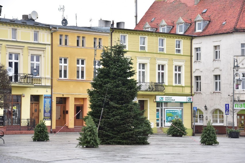 Choinka na żnińskim rynku została ustawiona w sobotę, 27...