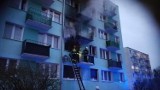 Jedna osoba zginęła w pożarze w bloku przy ul. Dziewińskiej we Włocławku [zdjęcia]