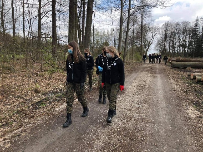 Harcerze z Radomska sprzątali las w ramach akcji "Czuwam! dla Ziemi"