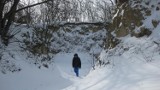 Zimowe spacery po powiecie puławskim. Słońce i śnieg po kolana (ZDJĘCIA)