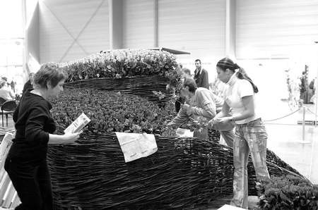 Zmagania z rekordem Guinnessa. W specjalnie na tę okoliczność skonstruowanym koszu ma znaleźć się 4 tysiące róż.