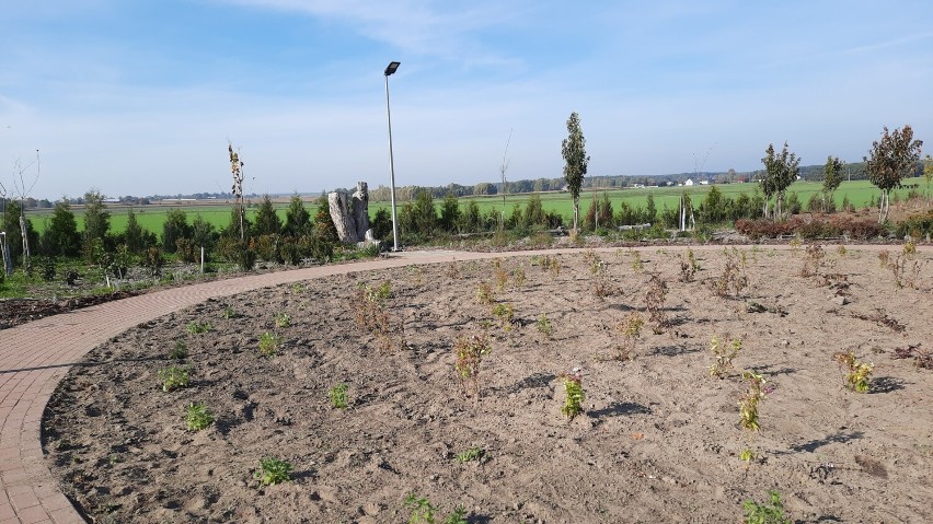 Park miododajny powstał w Liskowie. To będzie miejsce wypoczynku i integracji. ZDJĘCIA