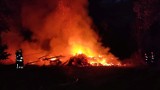 Pożar budynku gospodarczego w gminie Brąszewice ZDJĘCIA