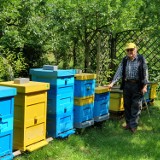 Władysław Feliniak ze Żnina od ponad 50 lat pasjonuje się pszczelarstwem. Pokazał swoją Izbę Pamięci Pszczelarskiej [zdjęcia, wideo] 