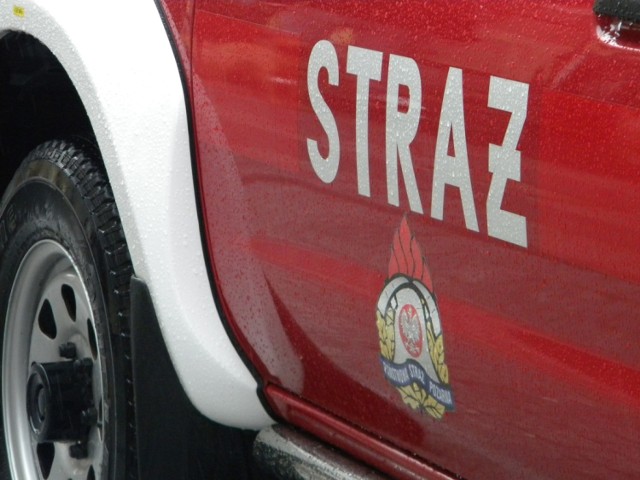 Pożar w Jastrzębiej Górze gasili strażacy z powiatu puckiego