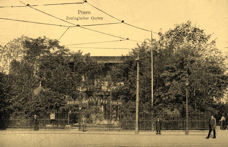 Poznań: W 1874 r. Ogród Zoologiczny założyli... kręglarze [ZDJĘCIA ARCHIWALNE]