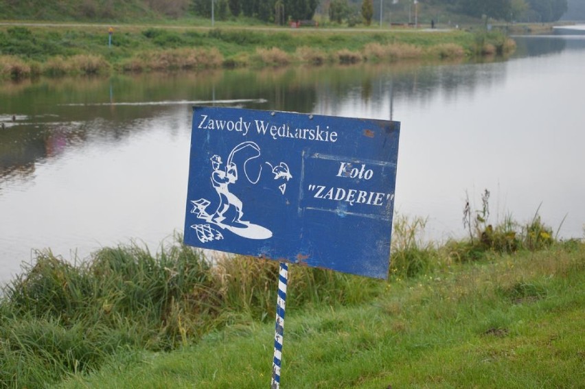 Trwają zawody wędkarskie nad zalewem Zadębie w Skierniewicach [ZDJĘCIA]