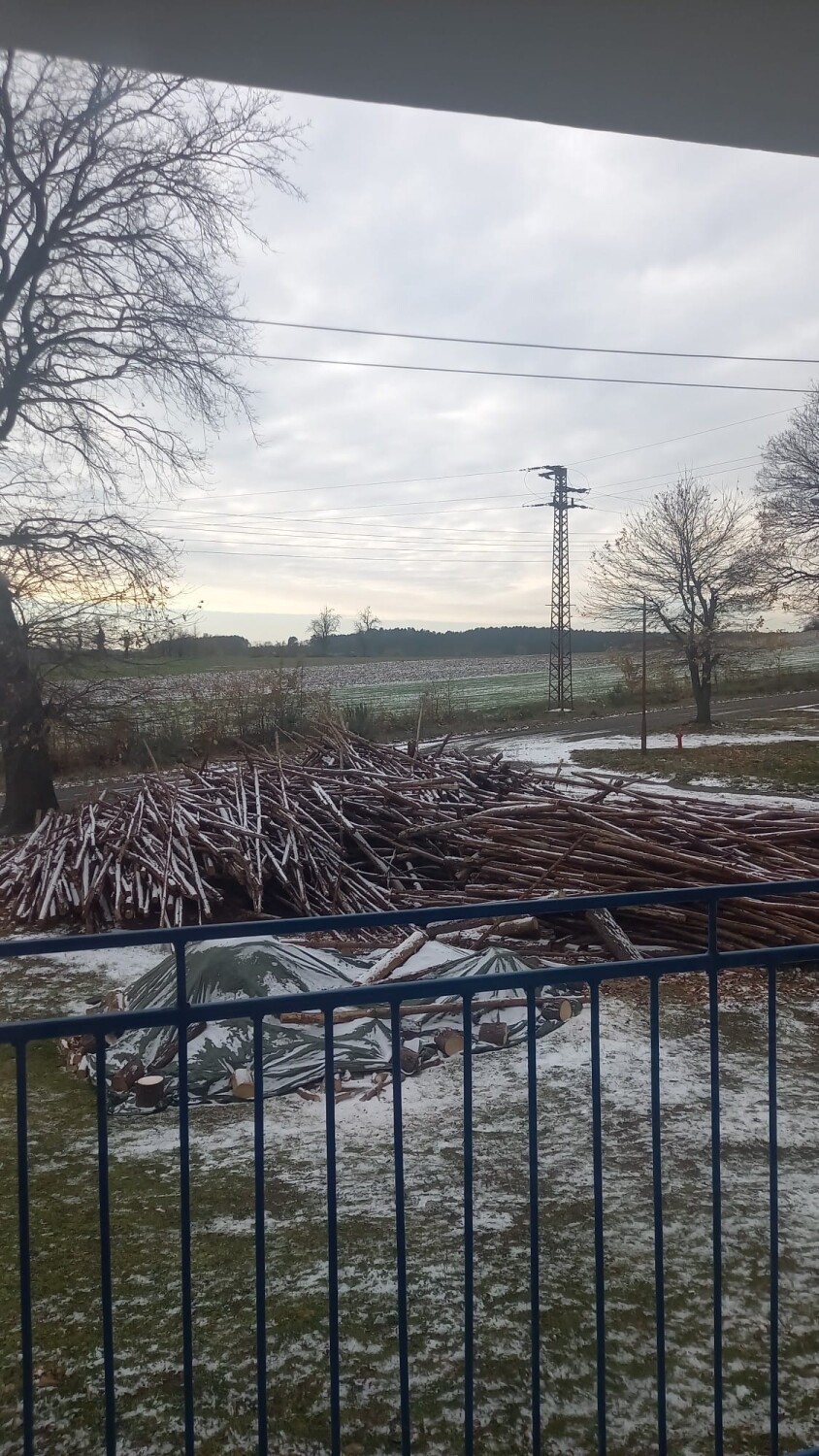 Pierwszy śnieg w obiektywie mieszkańców Krosna Odrzańskiego,...