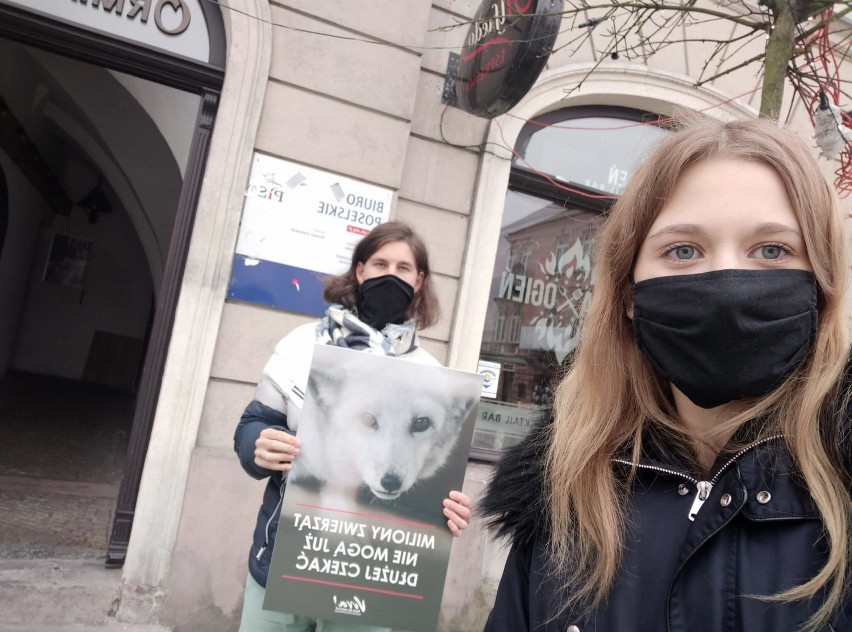 Dzień bez futra w Piotrkowie. Działacze Vivy przypominają o "piątce dla zwierząt"