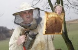 Polskie pszczelarstwo rośnie w siłę. Profesjonaliści szykują się do sezonu (WIDEO)