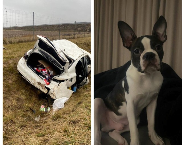 Wypadek na autostradzie A1