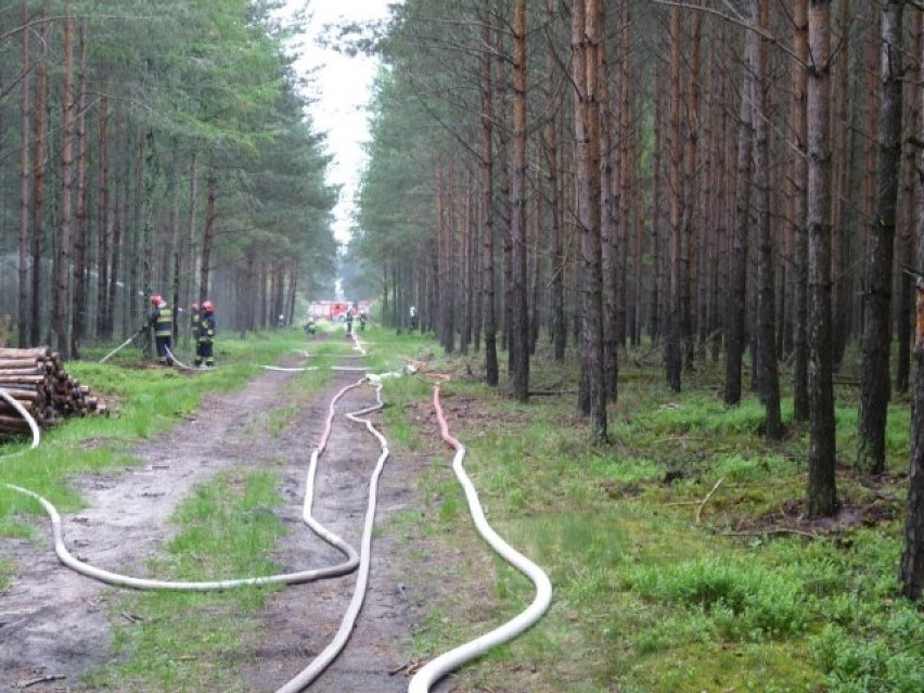 Dwa pożary lasów jednocześnie. 36 zastępów gaśniczych w akcji, która zakończyła się wieczorem - grochówką [ZDJĘCIA]
