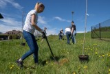 "Weź się zazieleń". Jastrzębianie sadzą drzewa. To akcja z okazji dnia ziemi