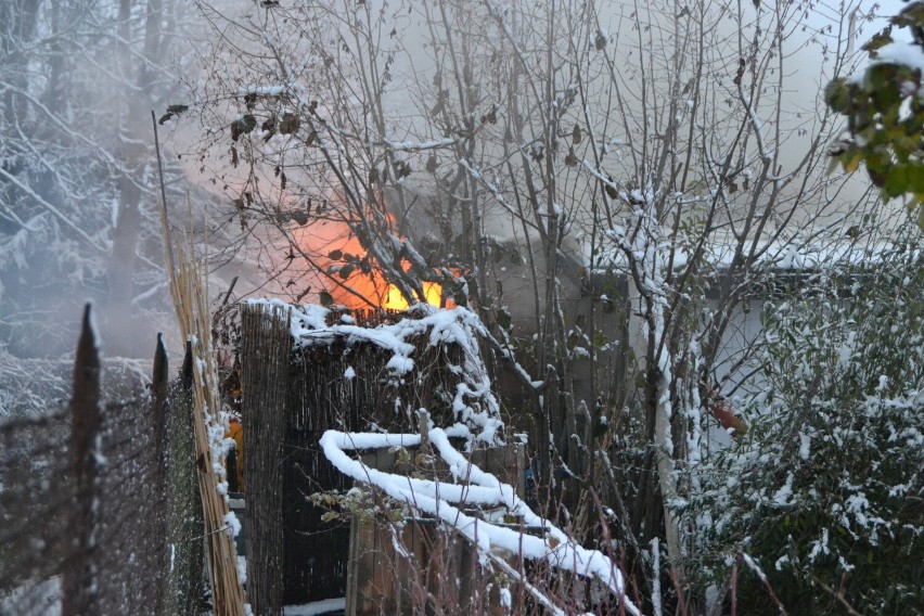Pożar na terenie ogródków działkowych w Gorlicach. Ogień pojawił się w jednym z domków