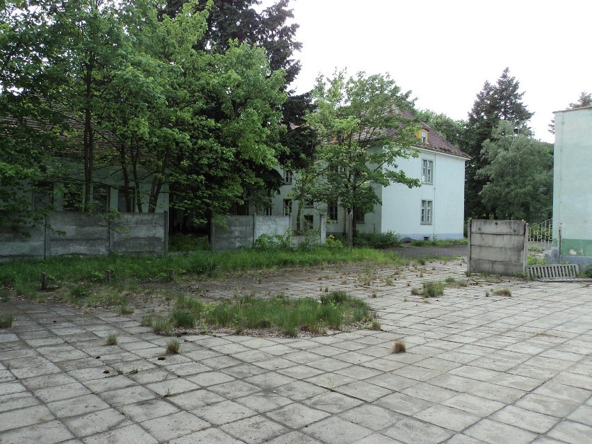 Radziecki szpital w Legnicy - Lasek Złotoryjski (ZDJĘCIA)