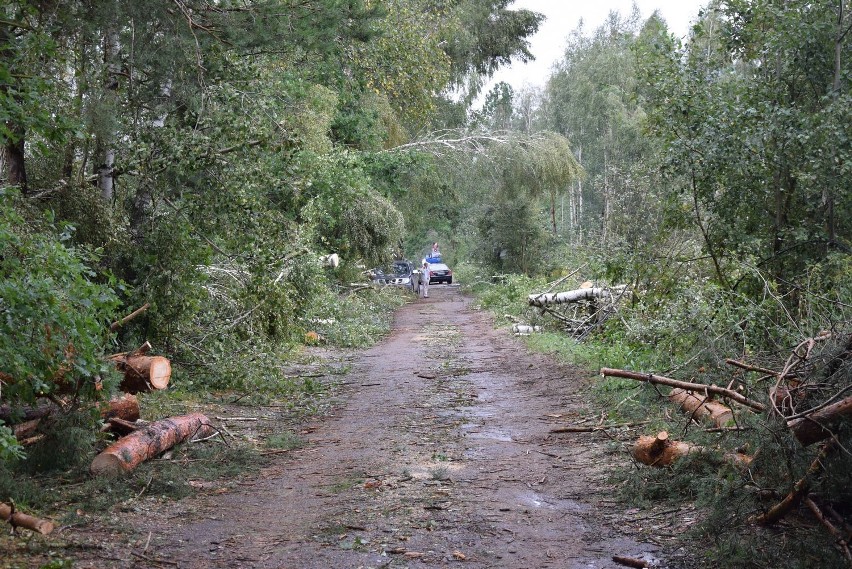 Trąba powietrzna w Joachimowie Mogiłach (gmina Bolimów)...