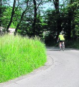 Wysokie nawet na 1,5 metra trawy rosnące przy drogach są zmorą kierowców