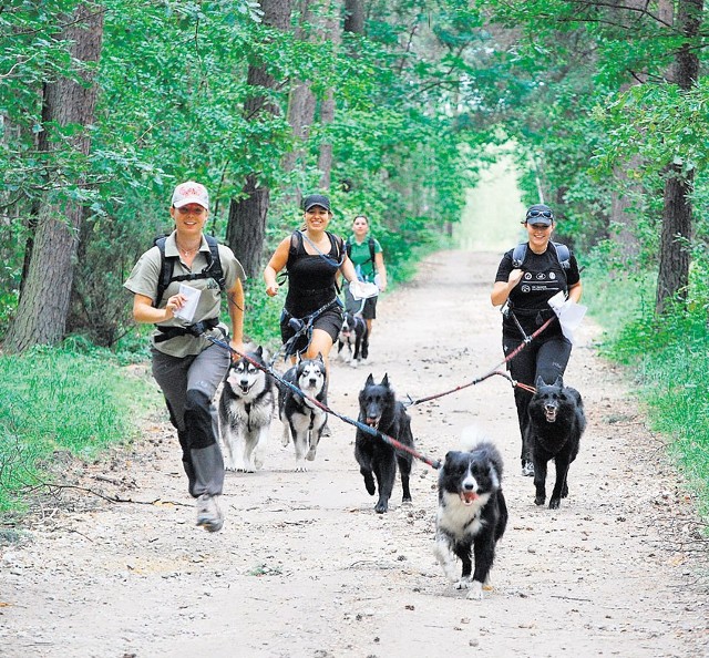 Dogtrekking to frajda zarówno dla psa, jak i dla właściciela fot. materiały organizatora