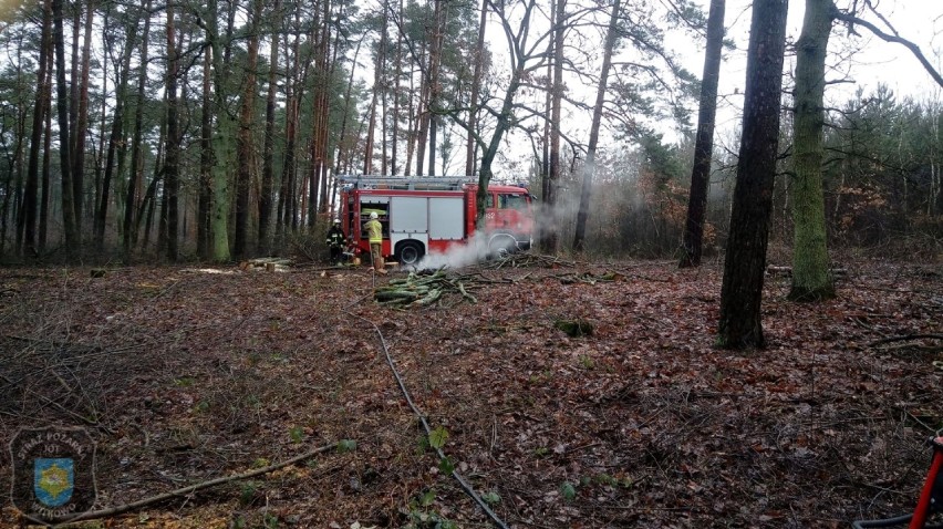 Zajęcia na półkoloniach w Ruchocinku przerwane przez pożar w lesie