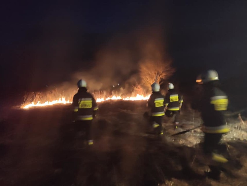 Ludzie zaczynają wypalać trawy. Strażacy z Przemyśla i Buszkowic muszą gasić pożary [ZDJĘCIA]