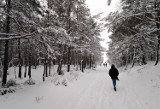 Śnieżna zadymka nad Bałtykiem. Sfilmował ją inowrocławianin. Zobaczcie co tam się działo [wideo]