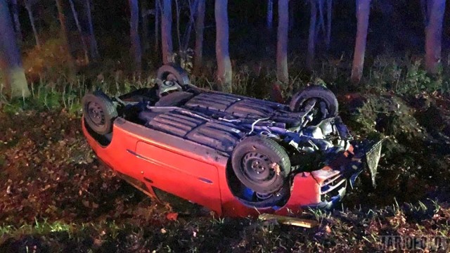 Do wypadku doszło we wtorek nad ranem ok. godz. 5.30 na drodze wylotowej z Opola w kierunku Walidróg. Przed maskę seicento wyskoczyła sarna, a kierowca - chcąc uniknąć zderzenia ze zwierzęciem - gwałtownie skręcił i wjechał do rowu. Auto dachowało. Kierowca został lekko ranny.