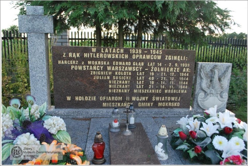 Mogiła na cmentarzu w Mokrsku