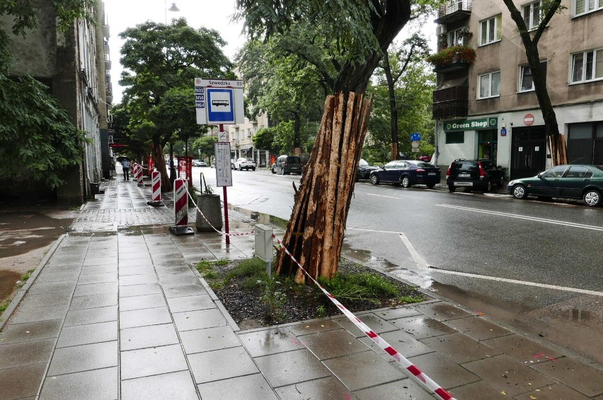 Warszawa. Stalowa stanie się bardziej zielona. Pokazujemy postępy prac