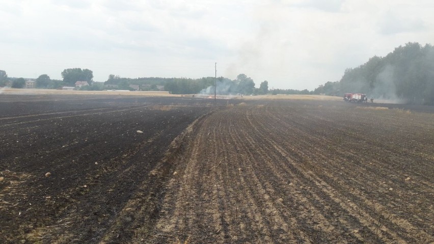W piątek, 19 lipca, płonęły pola zbóż w Nowym Ludwikowie...