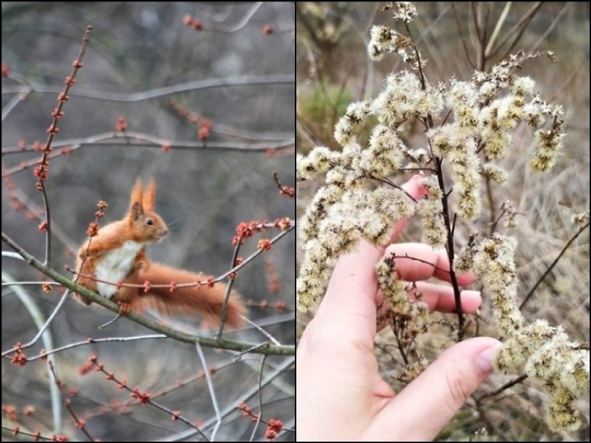 Wiosna w woj. lubelskim. Zobacz pierwsze wiosenne zdjęcia lubelskich instagramerów!